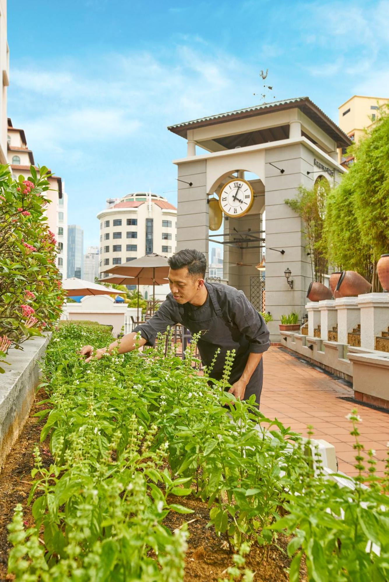 Fraser Place Robertson Walk Singapore Buitenkant foto Chef at work at the hotel's rooftop garden